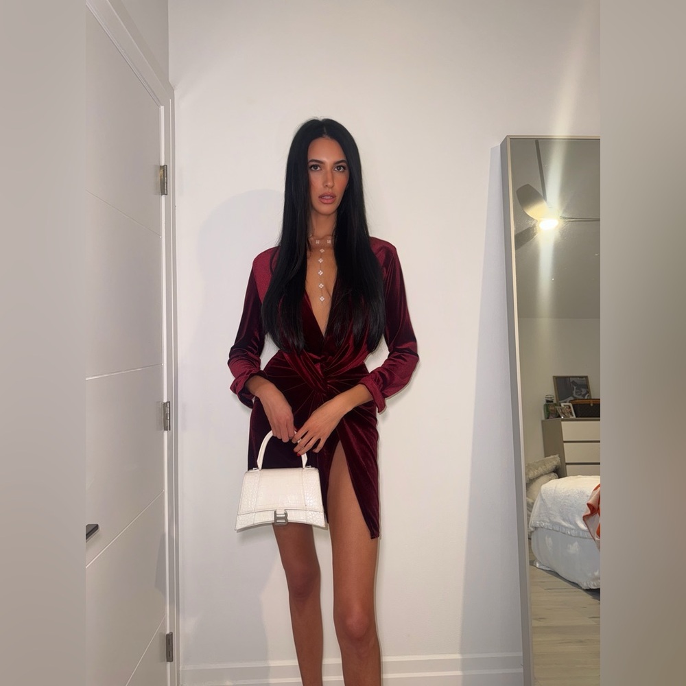 Lioness Burgundy Velvet Mini Dress